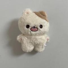 チソン jisung ぬいぐるみ NCT DREAM チソン ぬいぐるみ 公式