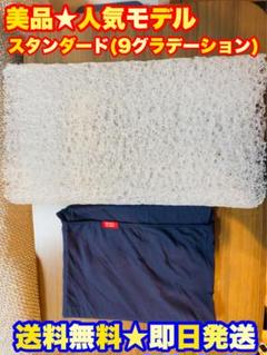 【美品★定価3万】BRAIN SLEEP PILLOW ブレインスリープ ピロー