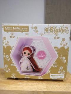 プチブライス ミスサリー 希少未開封 Blythe/ブライス・Petite Blythe/プチブライス・Miss Sally Rice
