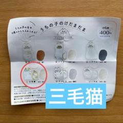 うちの子のけだまだま 三毛猫 正規品