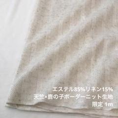 KX/5645◆1m 限定/リネン混天竺鹿の子ボーダーニット生地/カール