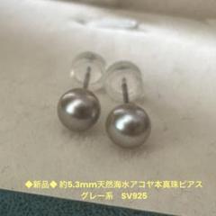 楽天市場】真多麻の通販