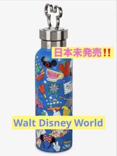 日本未発売‼️ Walt Disney World ステンレスボトルカラビナ付き