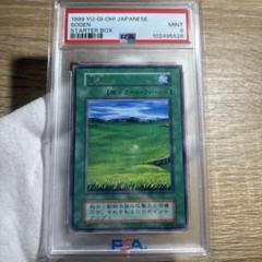 【 鑑定品 PSA9 】　美品　草原　最安値　字レア　フィールド　初期