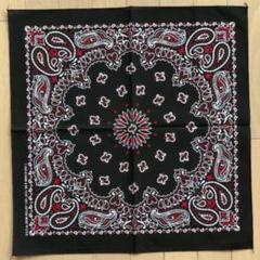 HAV-A-HANK ペイズリーバンダナ BLACK & RED