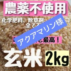 2025年最新】くず米 無農薬の人気アイテム - メルカリ