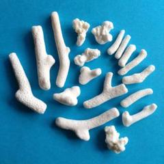 ステキ♪小さな 珊瑚礁 ⑨☆ 貝殻 珊瑚　ハンドメイド　 アロマストーン　置物