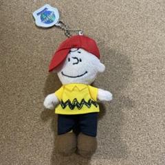 USJ ユニバ ぬいぐるみ チャーリーブラウン サリーブラウン　2体セット USJ ユニバ ぬいぐるみ チャーリーブラウン サリーブラウン 2体