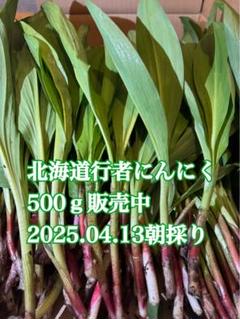 2025年最新】行者ニンニク 500gの人気アイテム - メルカリ