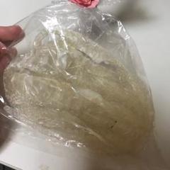 白蛇 脱皮 かわ 美品 綺麗