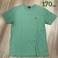 Ralph Lauren POLO ポロ　ラルフローレン　 Tシャツ　半袖
