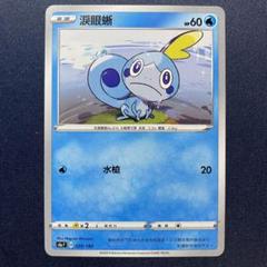 ポケモン　海外　韓国　袋付プレイマット　メッソン 海外ポケモンセンター限定 ポケモンカードゲーム プレイマット