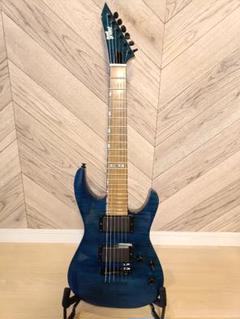 2025年最新】esp ギターケースの人気アイテム - メルカリ