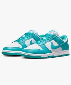 ナイキ DUNK LOW NEXT NATURE ダンク ロー 28.5