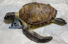 水の生き物リアルフィギュア 4点セット サメ、カメ、ワニ ウォーターミュージアム m61845827602_1.jpg?1723496775