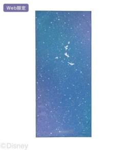 sukalaトラベルヨガマット新品未使用品 新品 【SUKALA】スカーラ トラベルヨガマットLAVA ラバ SEA 海