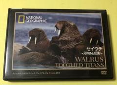 2025年最新】ナショナルジオグラフィック dvdの人気アイテム