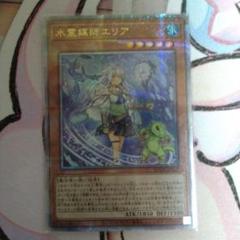 水霊媒師エリア　25th クオシク　psa10