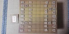 将棋盤