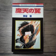 魔天の翼 神谷悠 白泉社
