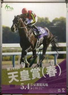 競馬フェノーメノベストLサイズ
