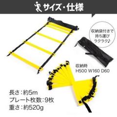 トレーニングラダー 5m