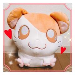 Amazon.co.jp: I LOVE HAMUCHANS from とっとこハム太郎 めちゃ