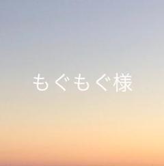 バランスチェアカバー