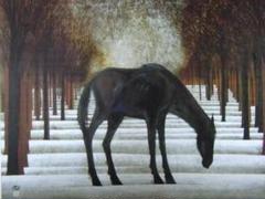 最新発見 加山又造、馬、希少画集、高級額付、オーダーマット額装 - メルカリ 絵画