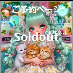 cancan☆フラットポーチ♥️美しい女性D♥️ハンドメイド オーダー用パネル♥️フラットポーチ等ハンドメイド 小瓶