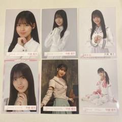 櫻坂46 生写真 まとめ売り 約240枚 セット 商品詳細ページ | 櫻坂46 OFFICIAL GOODS STORE | 【通常配送