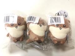 カワウソくじ　Ｄ賞10個セット 新品未開封】ナガノのカワウソ ぬいぐるみくじ D賞マスコット×3