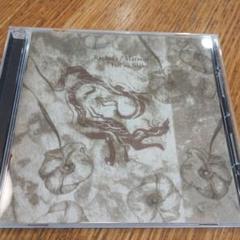 RACHEL'S / FULL ON NIGHT/ MATMOS/ 好スプリット