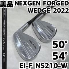 美品 EIFシャフト 2本セット NEXGEN FORGED WEDGE 美品 EIFシャフト 2本セット NEXGEN FORGED WEDGE - メルカリ