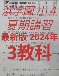 2025年最新】最高レベル特訓4年の人気アイテム - メルカリ