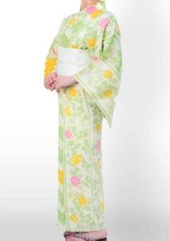 美品 綿絽 洗える着物“流れるように風情を歌う菊と竹垣♪”浴衣 C-88