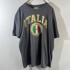 T-387 Zeus イタリア国旗デザイン Tシャツ XL