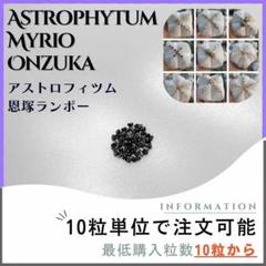 2025年最新】恩塚ランポーの人気アイテム - メルカリ