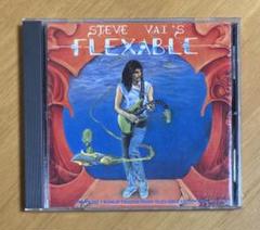 Steve Vai EVO Experience 超レアなグッズです！！
