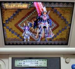 専用！モンハン4g 最強データ！ HR999×3