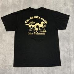 90s Hanes シングルステッチ　Tシャツ　レイク・ナシミエント　レジャー