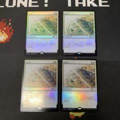 2025年最新】foil プロモの人気アイテム - メルカリ