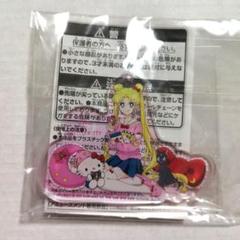 セーラームーン×サンリオキャラクターズ アクリルキーホルダー アクキー