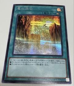 遊戯王 竜の渓谷 ドラグニティナイトロムルス 25th シークレット 4枚セット Amazon.co.jp: 竜の渓谷 遊戯王