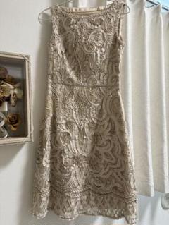 ANAYI 刺繍入りグレードレス 未使用 ANAYI 刺繍入りグレードレス 未使用
