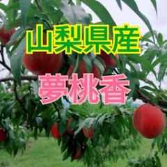 山梨県産　魅惑の夢桃香　EM酵母栽培　生産者直送！　2kg箱 山梨県産 魅惑の夢桃香 EM酵母栽培 生産者直送！ 2kg箱 - メルカリ