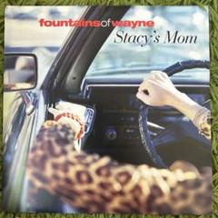 希少！fountains of wayne Stacy's Mom 7”レコード - メルカリ