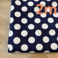 SEVENBERRY 帆布（10号くらい）　3cmドット　幅110cm×2m