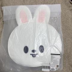SKZOO リービット　うちわカバー　うちわセット all様専用 うちわケース うちわカバー リービット straykids