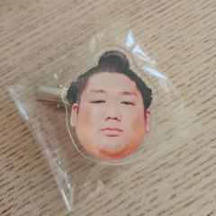 尊富士 フェイスピン 相撲ガチャ